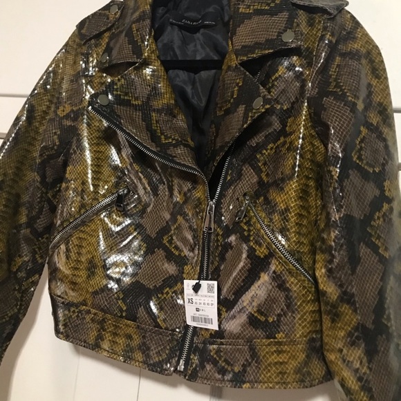 New Zara Snakeskin Jacket - Picture 7 of 7